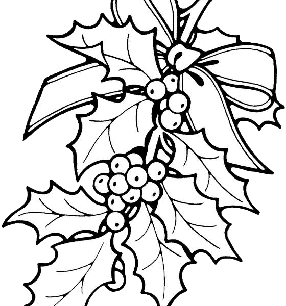 Christmas Coloring Pages Holly Printable Christmas - Christmas Flower Coloring Pages (560x600)