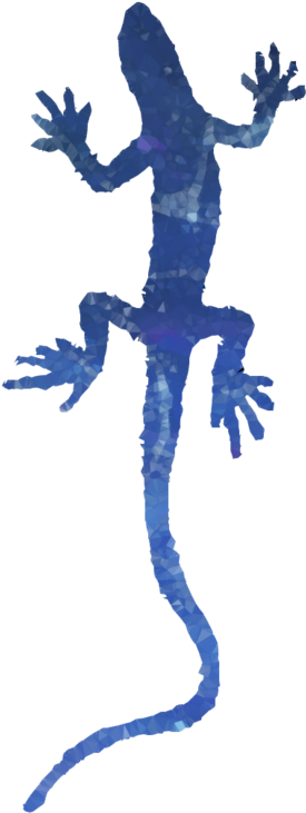 Gecko Clipart Gecko Lizard Amphibians - Gekkonidae (900x900)