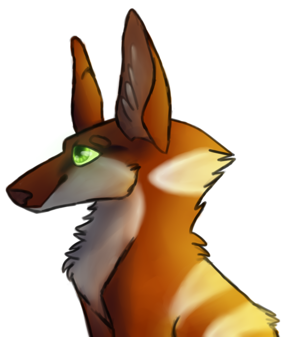 Gecko Wolf Headshot By Spiritwolf987 - Marsupial (800x700)