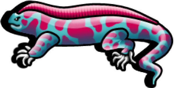 Jackal Clipart Leopard Gecko - Jackal Clipart Leopard Gecko (640x480)