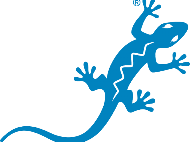 Gecko Clipart Blue Tongue Lizard - Blue Lizard Sunscreen (640x480)