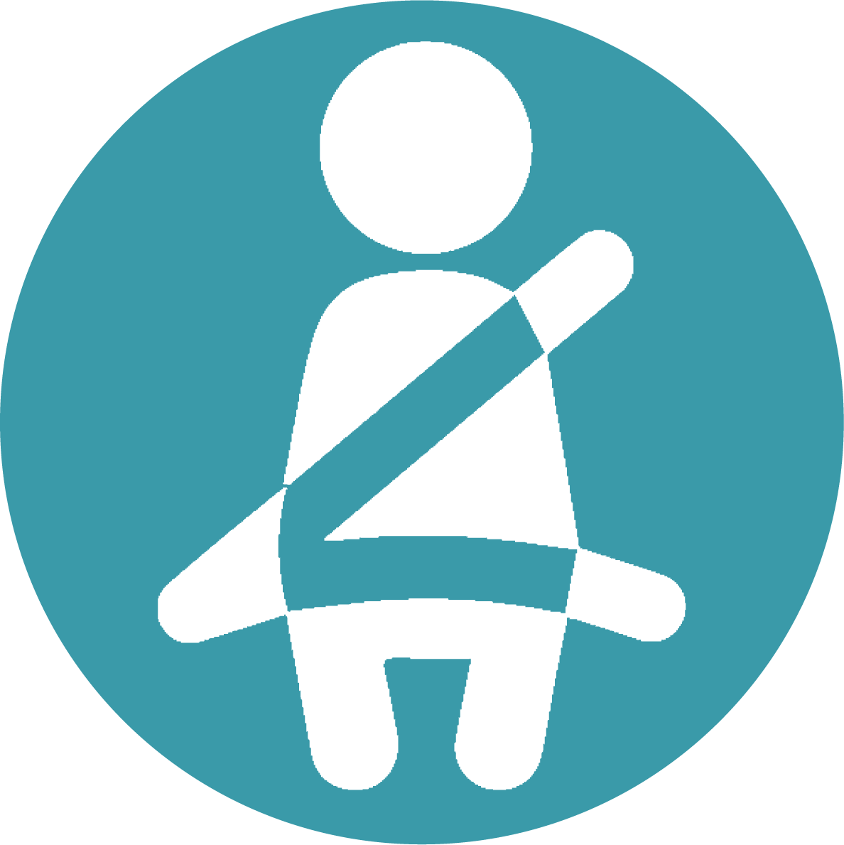 Occupant Protection - Circle (1188x1189)