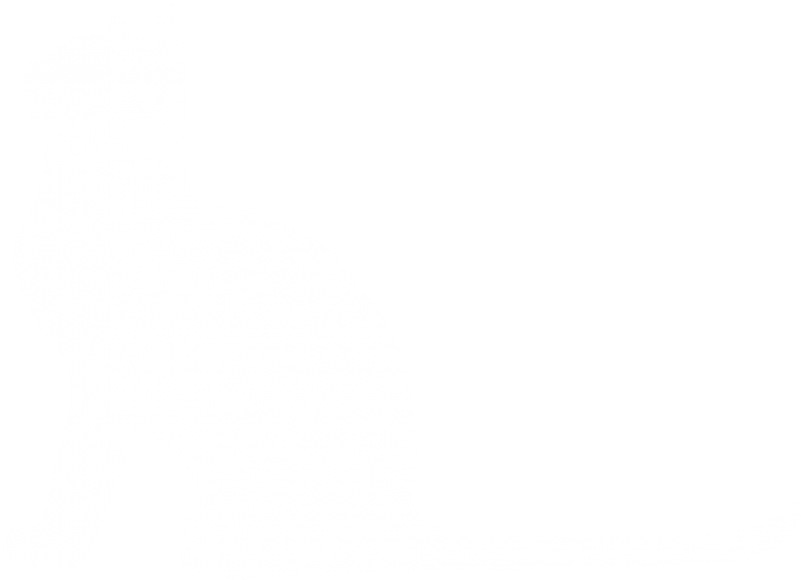 Cube Clipart , Png Download - Cat Yawns (801x580)