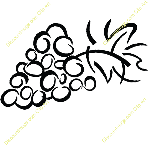 Clipart Of Birds And Grapes - Line Art (500x500)