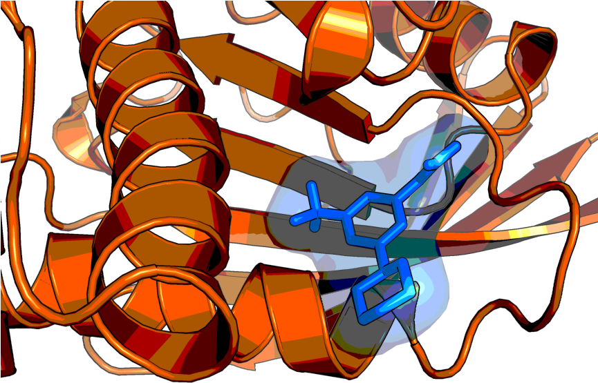 Step Structure And Allosteric Binding Site With Bound - Graphic Design (864x571)