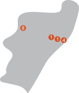 Mining Consultants Africa - Mining Consultants Africa (320x377)