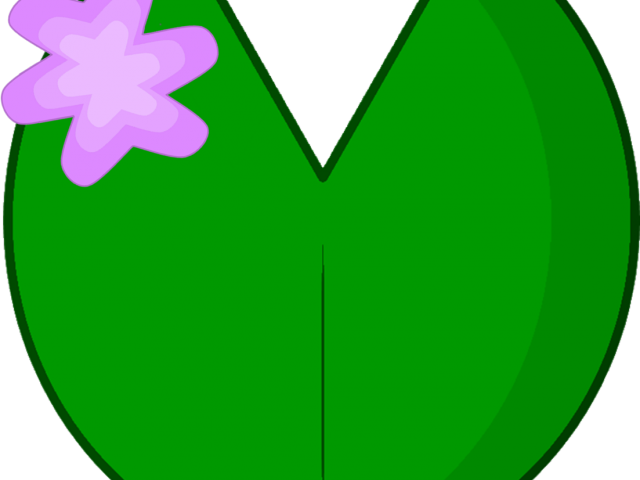 Lily Pad Clipart Sketches - Lily Pad Clipart Sketches (640x480)