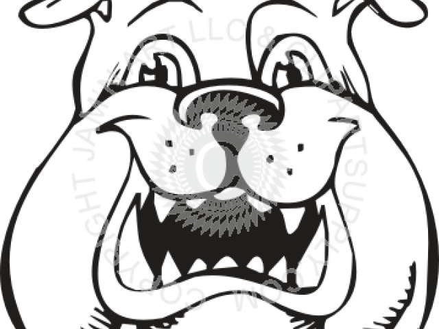 Bulldog Clipart Sketches - Bulldog (640x480)