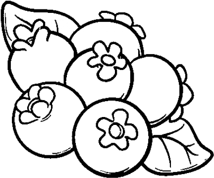 Blueberry Clipart Drawn - Blueberries Coloring Pages (640x480)