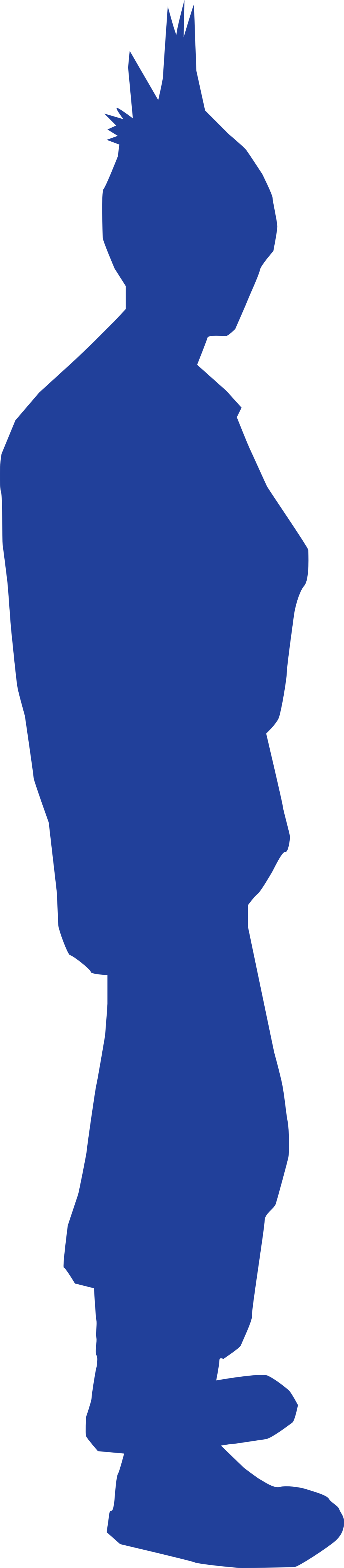 Punk - Punk Rock (958x4361)