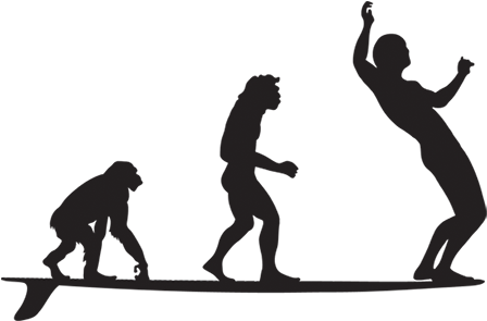 Le Surfing - Transparent Evolution Of Man Png (512x512)