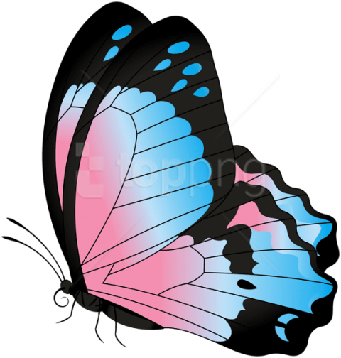 Free Png Download Butterfly Blue Pink Transparent Clipart - Pink And Blue Butterfly Png (480x504)