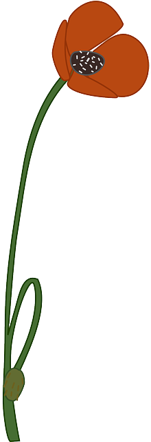 Poppy Clipart Poppy Field - Small Poppy Clip Art (320x640)
