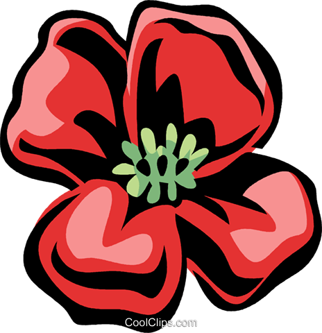 Poppy Royalty Free Vector Clip Art Illustration - Poppy Clip Art (464x480)