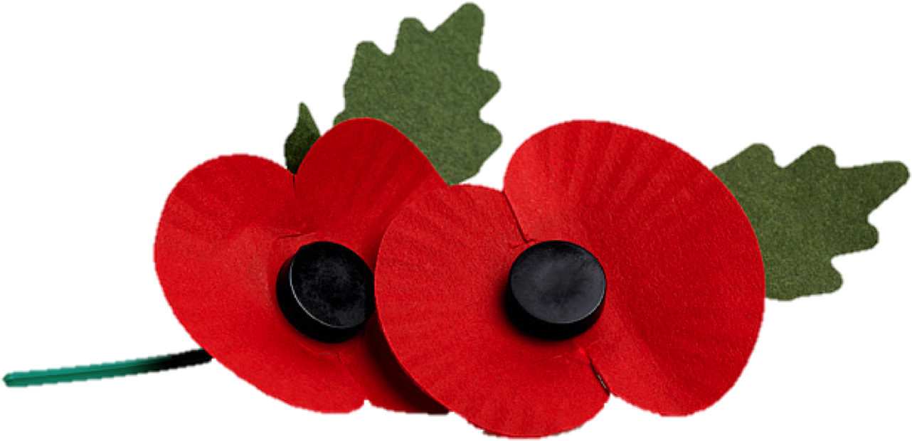 Poppy Clipart Poppy Appeal - Poppy Royal British Legion Png (1292x807)