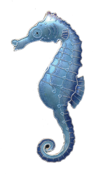 Blue Seahorse Png (500x500)