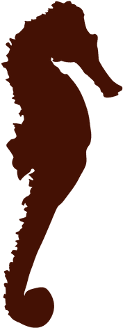 Seahorse Silhouette Transparent Png Svg Vector - Dibujo Silueta Caballito De Mar (512x512)