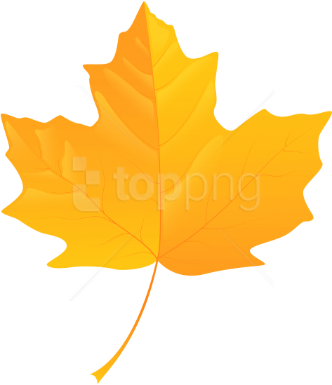 Free Png Download Yellow Leaf Clipart Png Photo Png - Yellow Fall Leaves Clip Art (480x556)