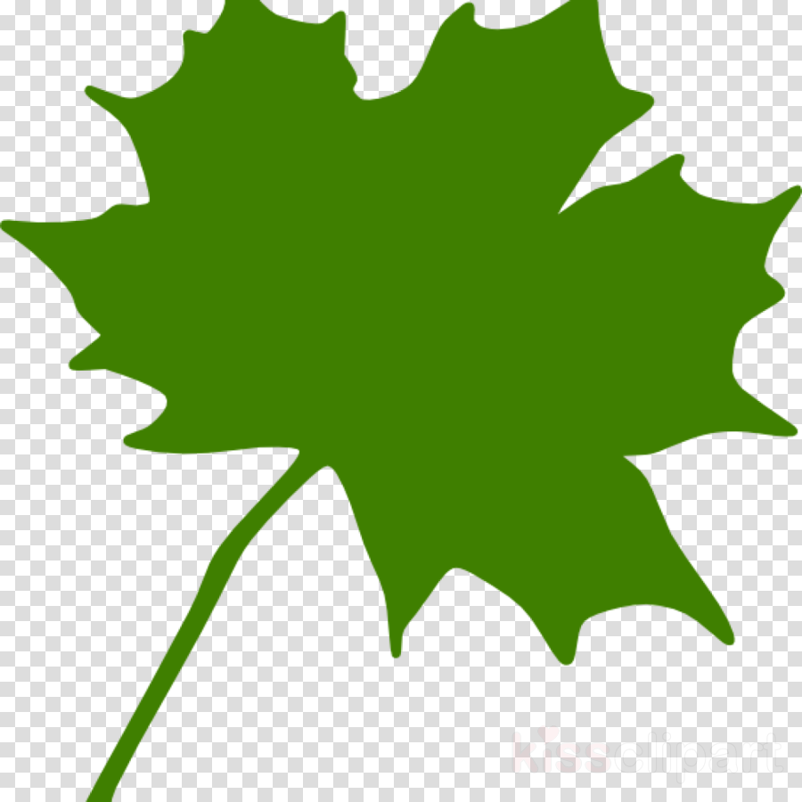 Maple Leaf Clipart Maple Leaf Clip Art - Canada Maple Leaf Clip Art (900x900)