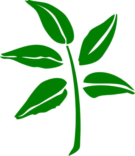 This Free Clip Arts Design Of Leaf Png - This Free Clip Arts Design Of Leaf Png (516x596)