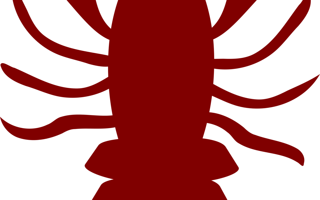 Cartoon Crawfish Clip Art Free Images Vector Boil Coloring - Silhouette Lobster Clipart Png (1280x800)