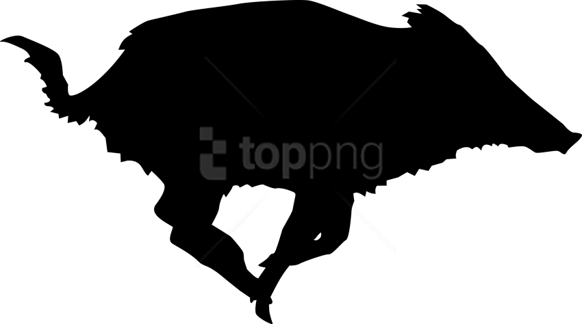 Download Boar Png Images Background - Wild Boar (850x474)