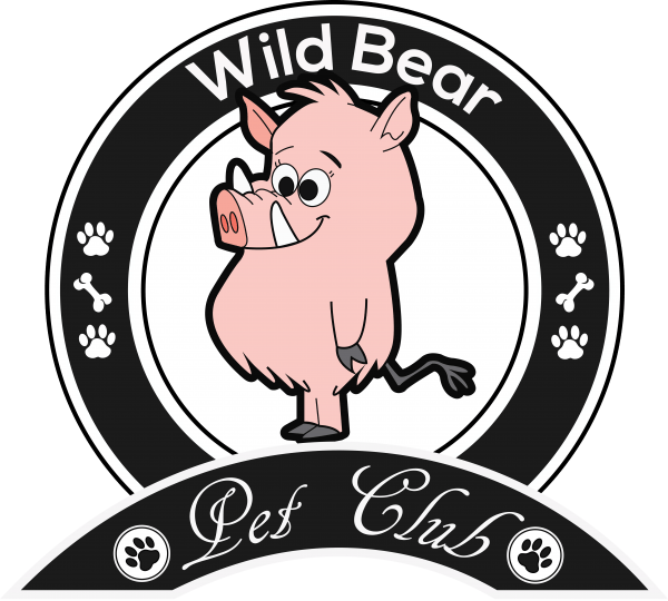 Wild Boar - Portable Network Graphics (600x540)