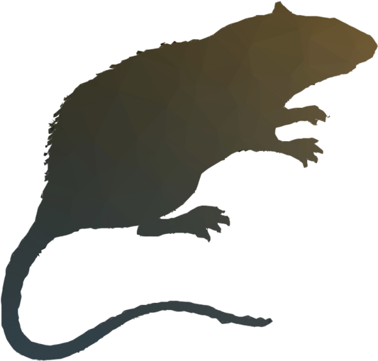 Rat Clipart Rat Wild Boar Duck - Rat (900x900)