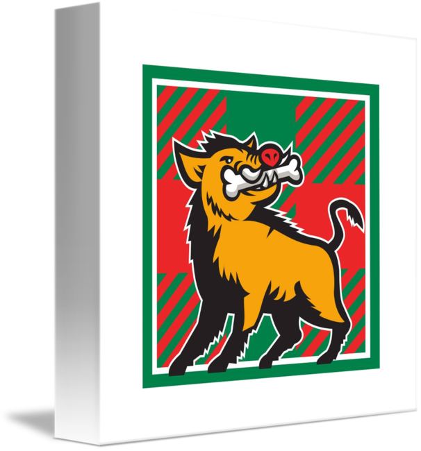 Wild Boar Bone In Mouth Tartan Square Retro By Aloysius - Wild Boar (606x650)