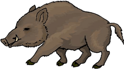 Boar Drawing - Wild Boar Clipart (400x400)