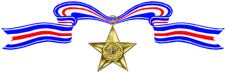 More Than 130,000 Silver Stars Have Been Awarded To - Silver Star Medal (768x264)