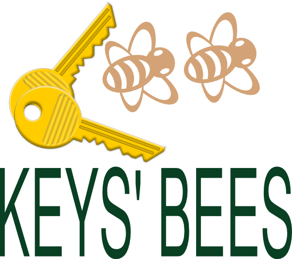 Keys Bees Clip Art Vector Online Royalty Free & Public - Smart Blonde California License Plate Lp-4513 (600x532)