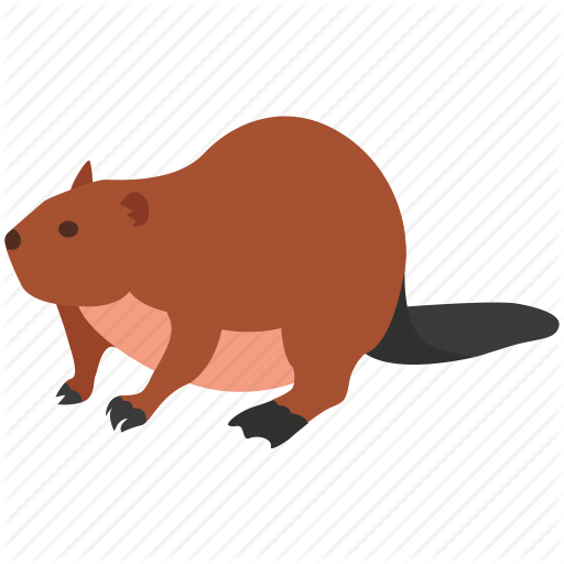 Fur Clipart Beaver Pelt - Transparent Beaver Icon (512x512)