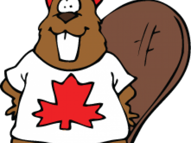 Beaver Clipart Canadian Beaver - Canada (640x480)