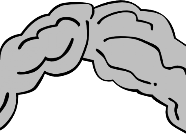 Gray Hair Clipart (640x480)