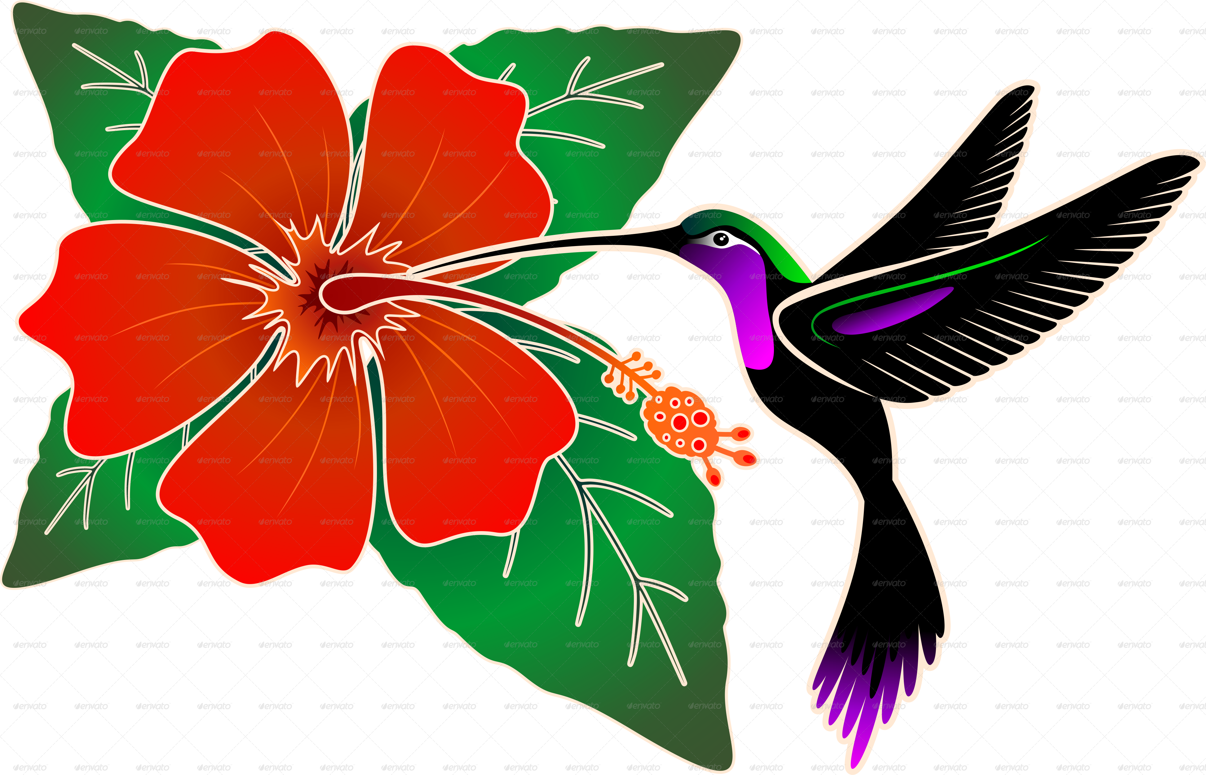 Drawn Hibiscus Hummingbird Flower - Hawaiian Hibiscus (3891x2501)