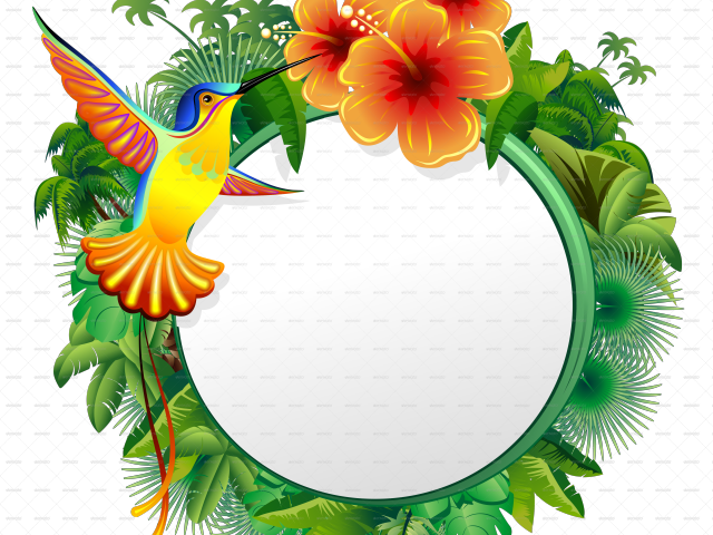 Hummingbird Clipart Frame - God Cares (640x480)