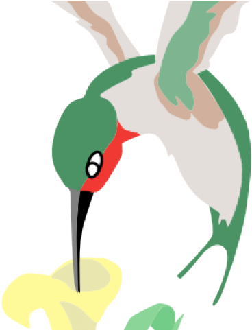 Hummingbird Clipart Hummingbird Flower - Hummingbird Clipart Hummingbird Flower (640x480)