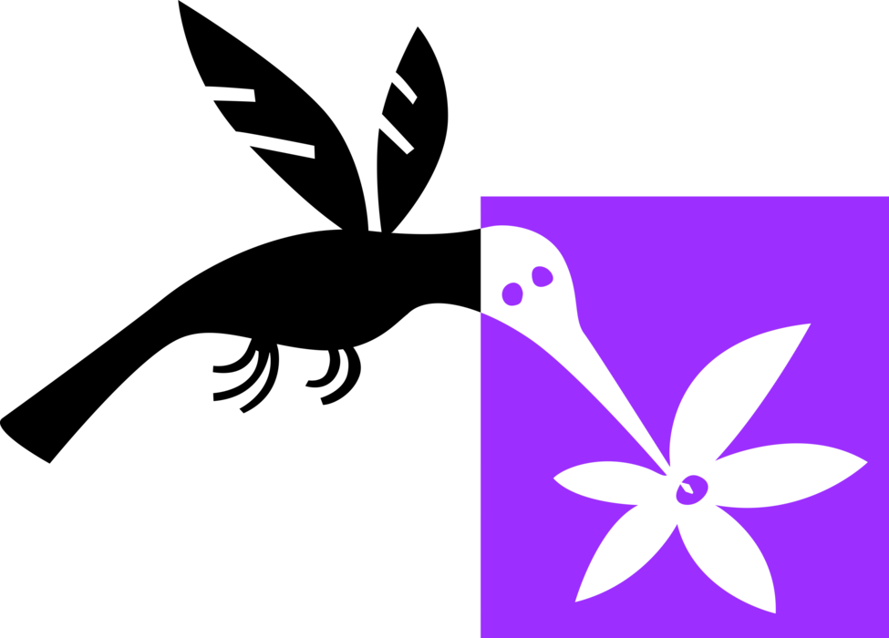 Drinks Nectar From Image Illustration Of Bird - Illustration (975x700)