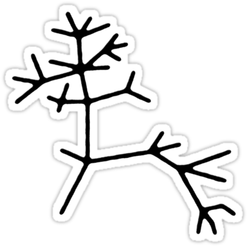 Design Based On Charles Darwin's "i Think" Tree Of - Darwin Human Evolution Art (375x360)