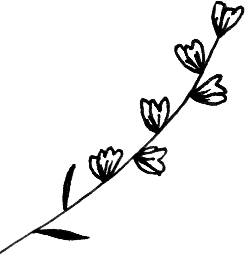 Flowers Kitchen Illustration - Flowers Kitchen Illustration (902x975)