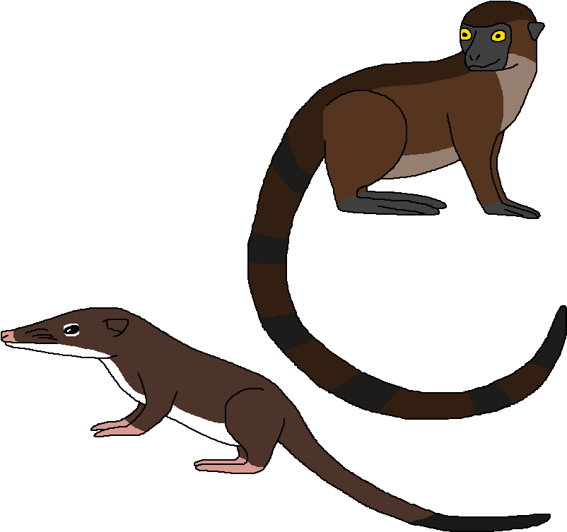 Placental Origins By Wildandnaturefan - Otter (833x769)