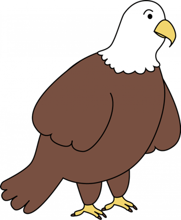 Bald Eagle - Clipart Of A Bald Eagle (627x759)