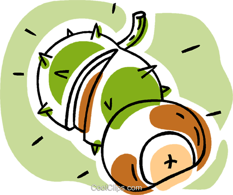 Chestnuts Royalty Free Vector Clip Art Illustration - Chestnuts Royalty Free Vector Clip Art Illustration (480x403)