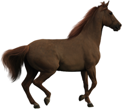 Chez Laly Page - Paard Png (480x419)