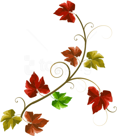 Free Png Download Autumn Leaves Decoration Clipart - Fall Branch Clip Art (480x552)