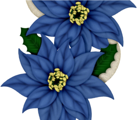 Poinsettia Clipart Blue - Flores De Navidad (640x480)