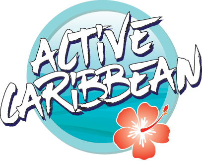 Everything You Want To Do In The Dominican Republic - Illustration (407x324)