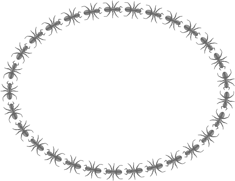 Medium Image - Border Designs Black And White (800x617)