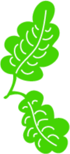 640 X 640 8 - 640 X 640 8 (640x640)